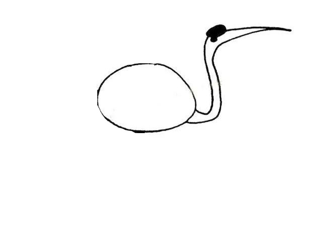 丹顶鹤简笔画