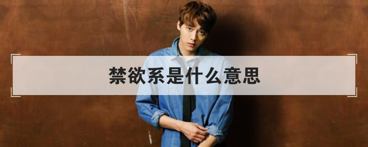 禁欲系是什么意思