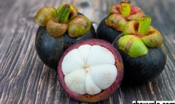 山竹的功效与作用及营养价值有哪些