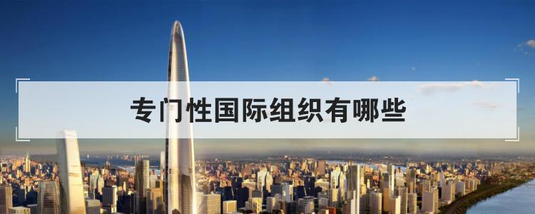 专门性国际组织有哪些