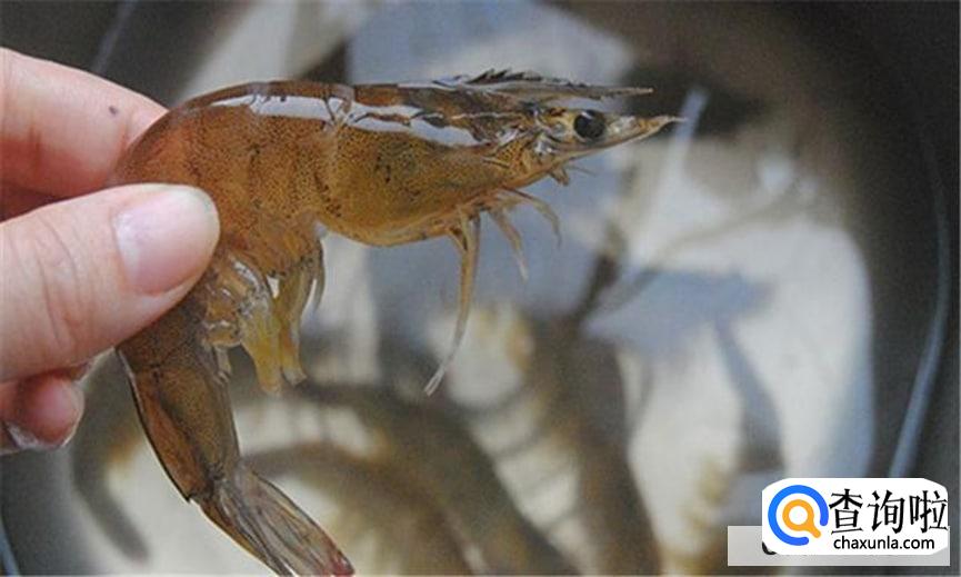 家常做大虾的方法