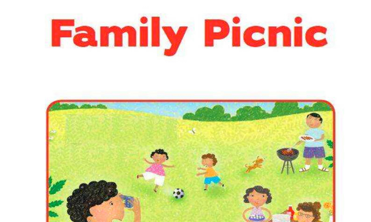 picnic是什么意思