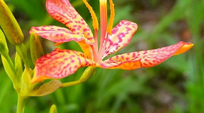 见微知著什么意思