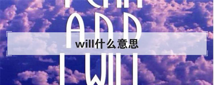 will什么意思
