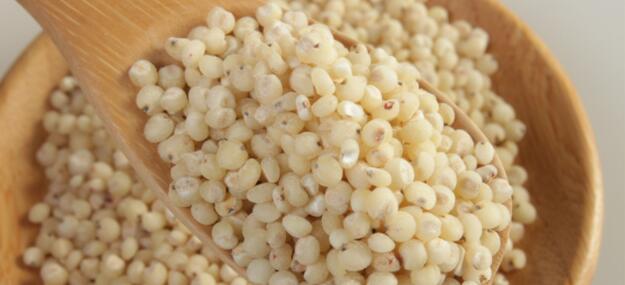 秋天丰收的农作物有什么