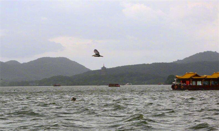 七月俗称什么月