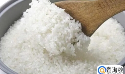 煮绿豆米饭要提前浸泡多久