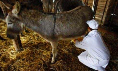 驴奶什么人不能喝