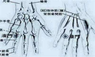 每天按摩液门的好处