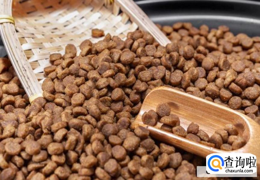 如何选择一款适合狗狗的好狗粮