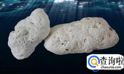 龙涎香是什么东西（龙涎香到底有多可怕）