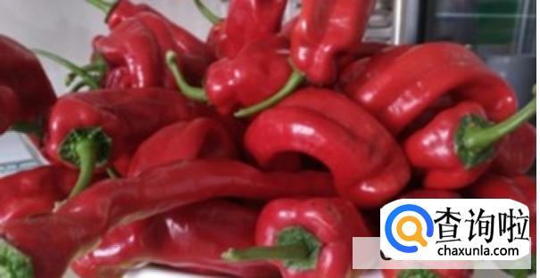 蒜蓉辣椒酱的做法