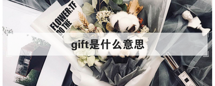 gift是什么意思