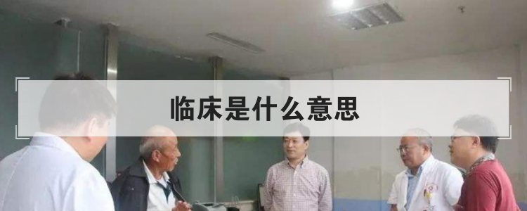 临床是什么意思