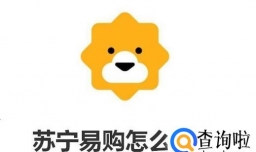 苏宁易购怎么退款