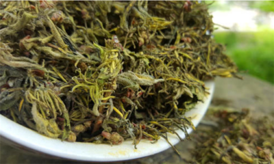 正宗五宝茶是哪五宝