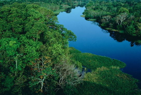 世界上流域面积最大的河