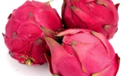 减肥期间能吃火龙果吗？