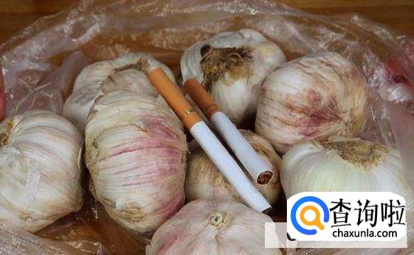 大蒜怎么保存不发芽br