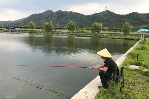 钓鱼的技巧和方法 钓鱼技巧及方法