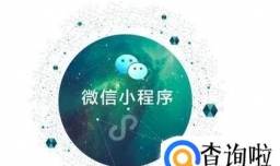 头脑王者为什么会被下架