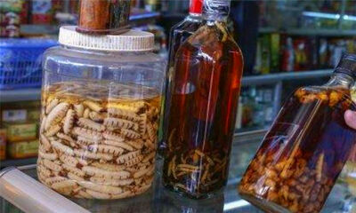 药酒是在哪个朝代之后出现