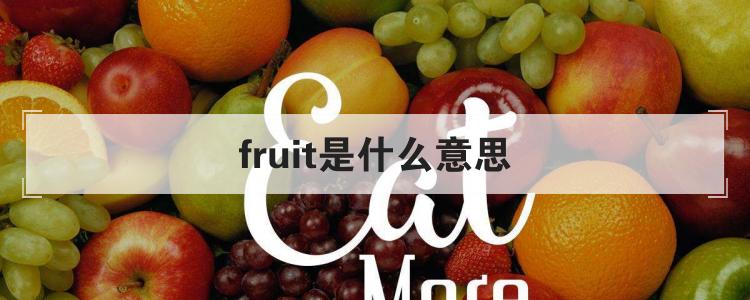 fruit是什么意思