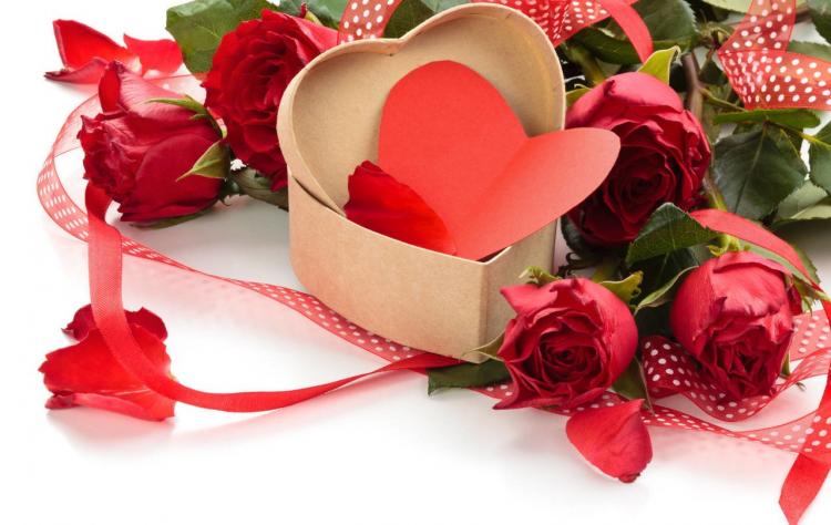 对女朋友道歉送什么花？