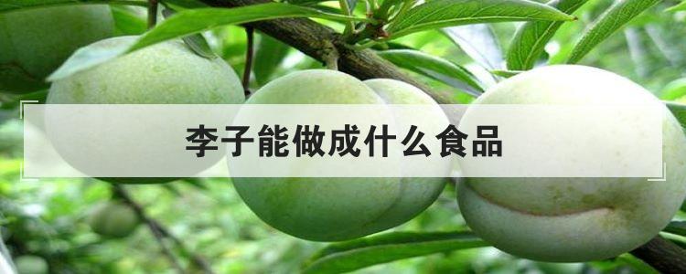 李子能做成什么食品