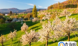 2023立春迎春可以在娘家吗