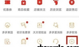 拼多多如何取消优惠与活动消息