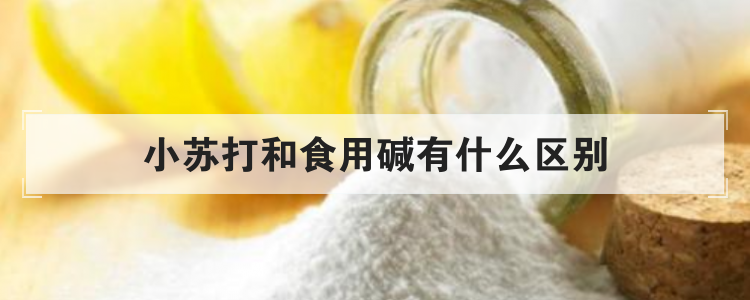 小苏打和食用碱有什么区别