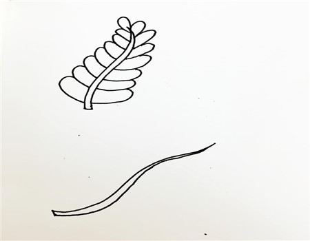 树叶简笔画