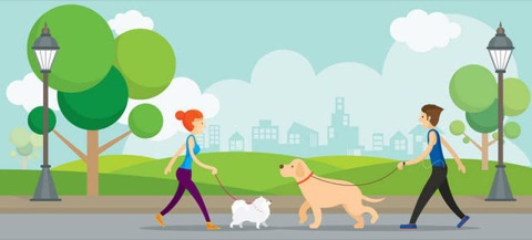 头发长得太慢应该怎么办呢