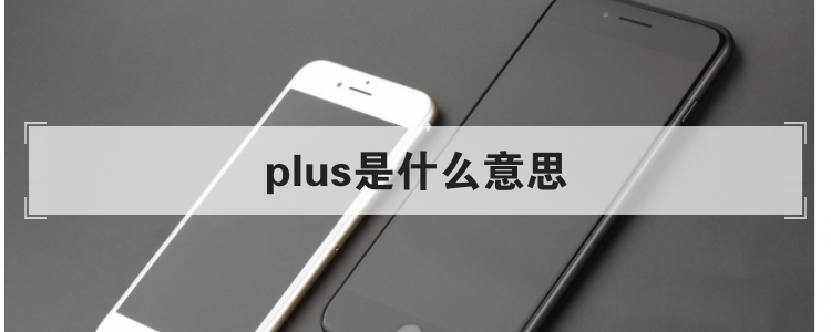 plus是什么意思