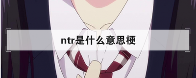 ntr是什么意思梗