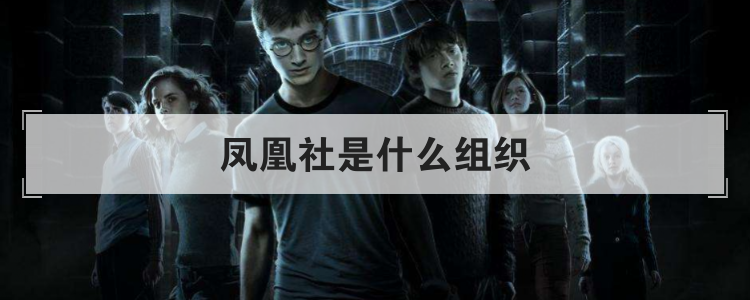 凤凰社是什么组织