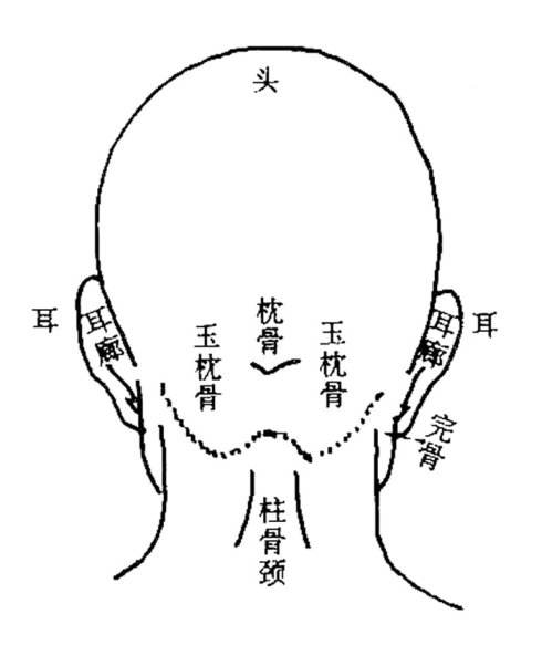 什么是反骨