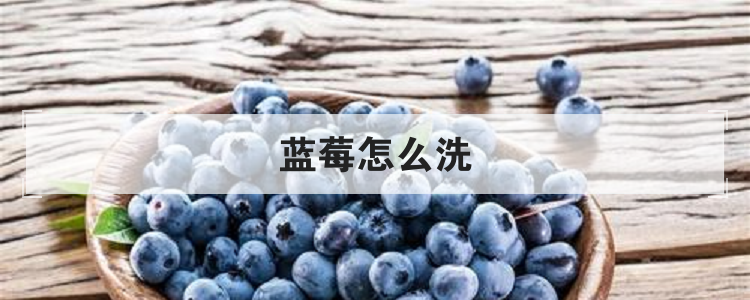 蓝莓怎么洗