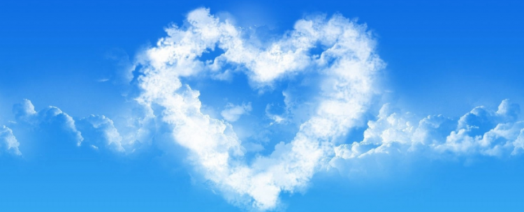 心字开头的成语