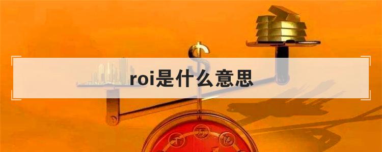 roi是什么意思