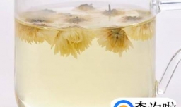夏天喝菊花茶有什么好处