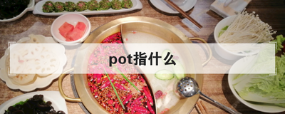 pot指什么