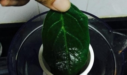 菠菜汁（有色）饺子的做法