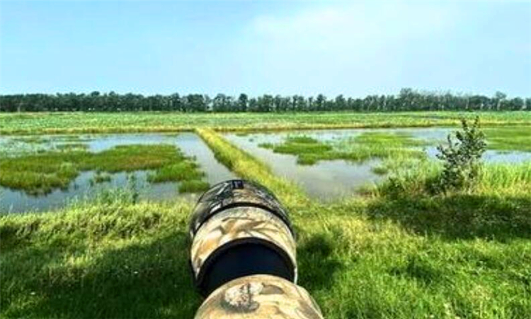 七月俗称什么月