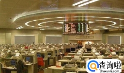 怎样网上申购新股