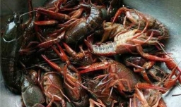 自家油焖小龙虾