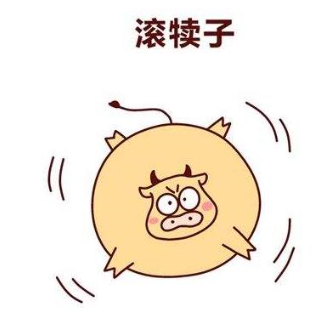 犊子是什么意思