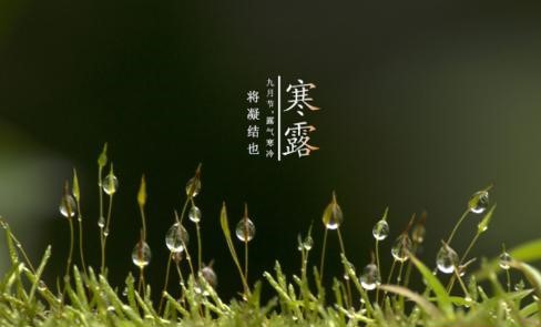 寒露节气有什么特点