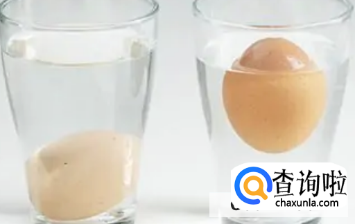 鸡蛋为何能在盐水中漂浮起来